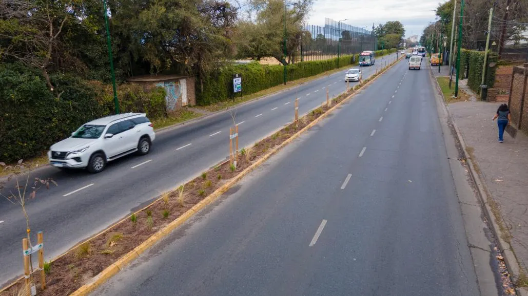 WhatsApp Image 2025-07-10 at 12.04.51 (2)