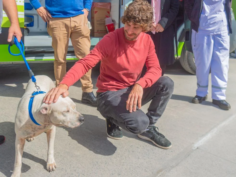 1 san fernando contra la venta de animales ago2026 (2)