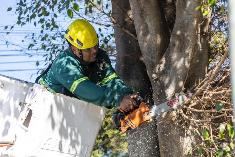 WhatsApp Image 2026-03-06 at 13.08.02 (1)